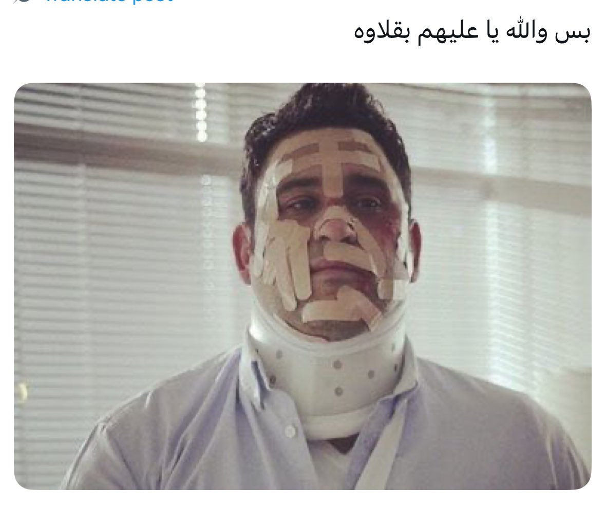 بارادايس tweet media