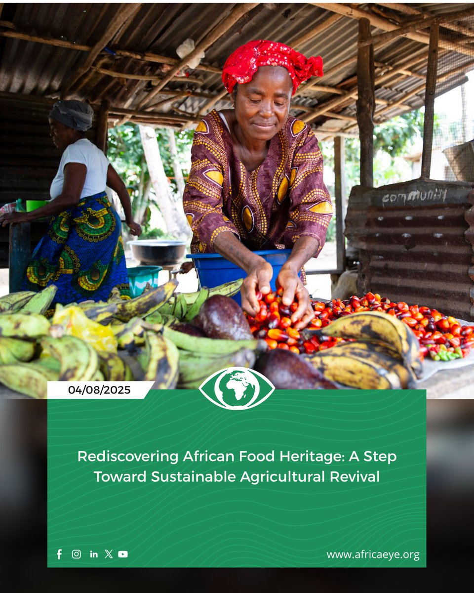 africaeye_org's tweet photo. #AfricanFoodSystems #SustainableAgriculture #Fonio #Baobab #FoodSecurity #IndigenousCrops #ClimateResilience #Agroecology
Details: https://t.co/X3uMrF4OAd https://t.co/0tvoyFqeCe