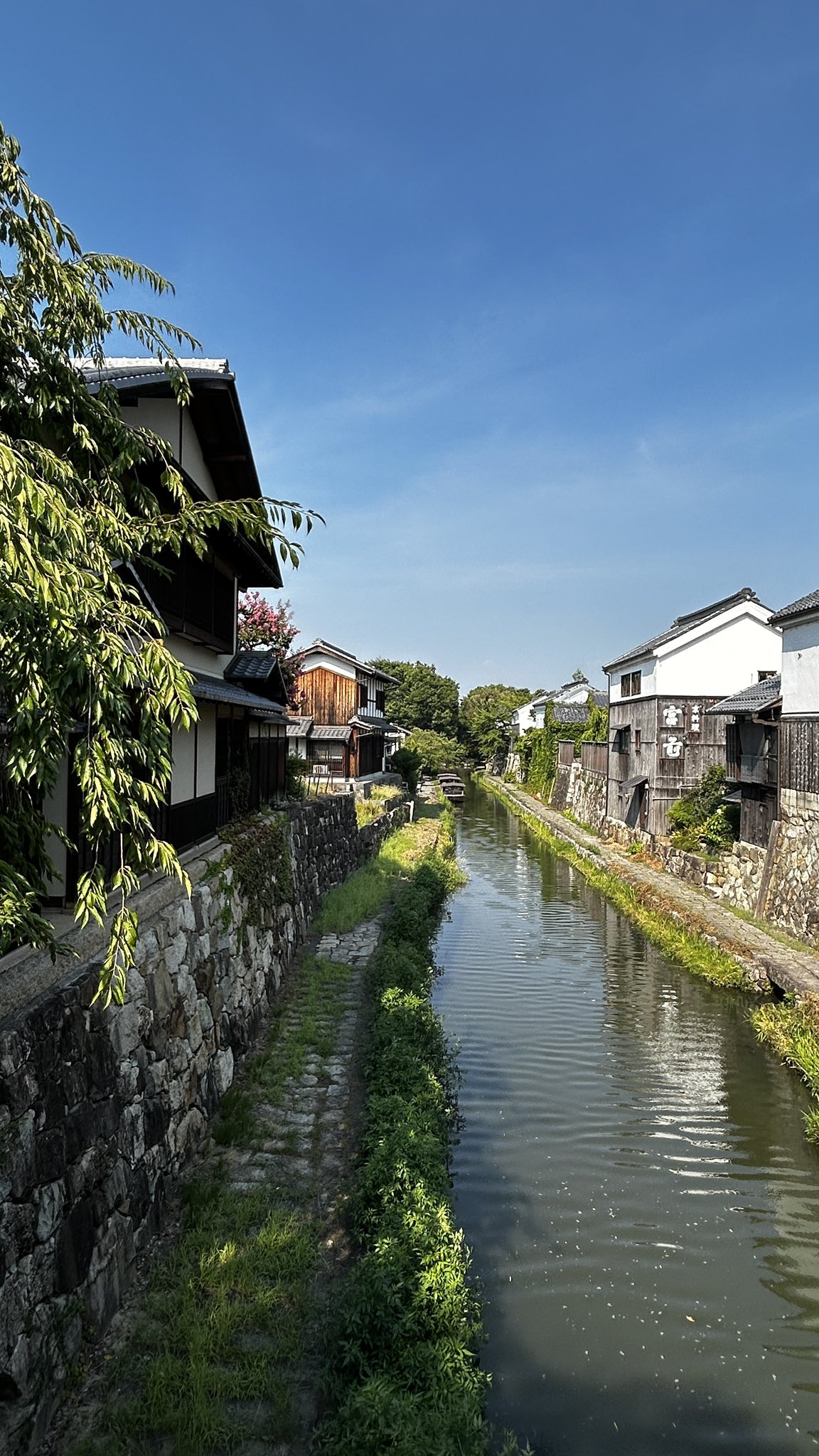 近江八幡堀 八幡堀 | 滋賀県観光情報［公式観光サイト］滋賀・びわ湖の