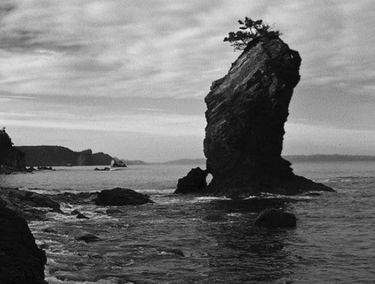 cedillus's tweet photo. 'Il ne faut pas juger des choses de la mer comme des choses de la terre' #JeanRay                                           Humilité et adaptabilité face à ce qui est différent. https://t.co/CeYyTxYV3q