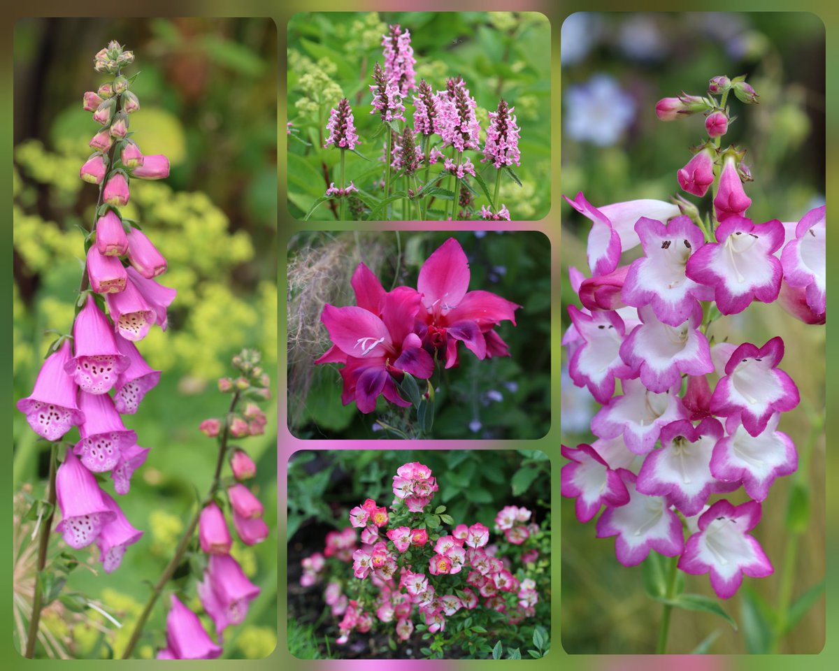 Summer pinks for a rainy day #MagentaMonday #MondayVibes