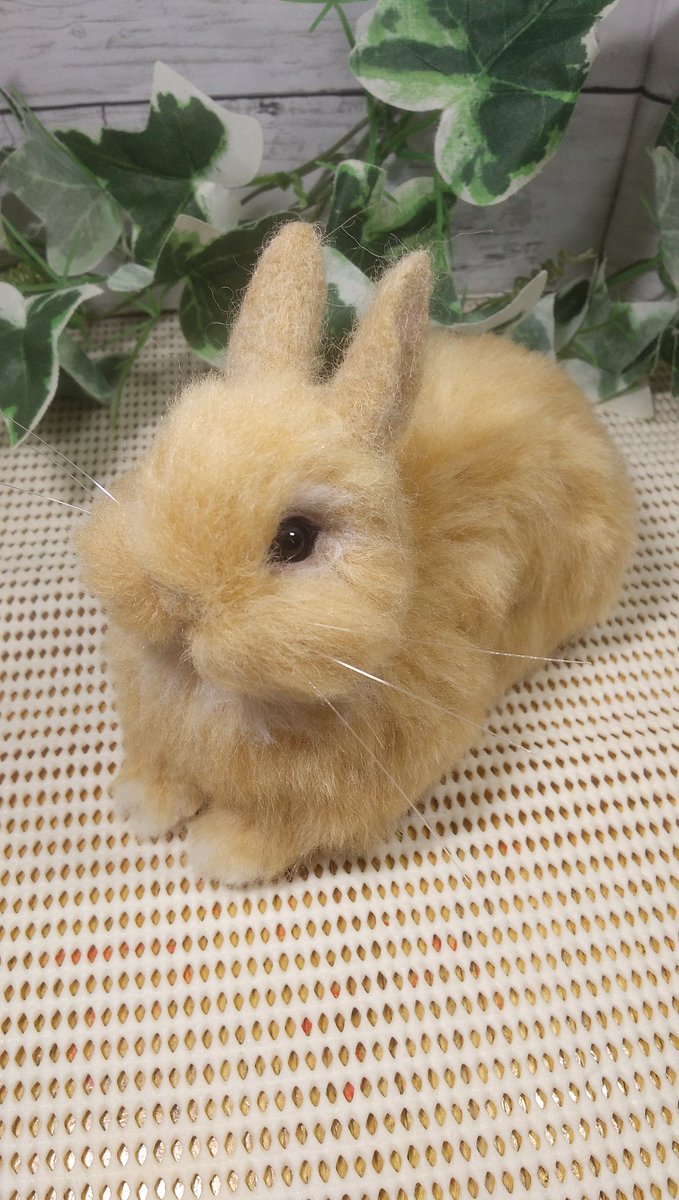 羊毛フェルト　megu*様 羊毛フェルト megu*様 MEGU羊毛フェルト on X: