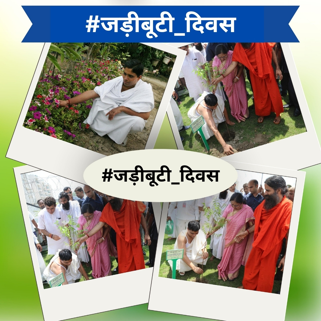 श्रद्धेय आचार्य बालकृष्ण जी ने “स्वस्थ जीवन, स्वदेशी जीवन” का मंत्र दिया। प्राकृतिक उत्पादों को अपनाने का आह्वान किया। #जड़ीबूटीदिवस
Acharya BalkrishnaJi Maharaj