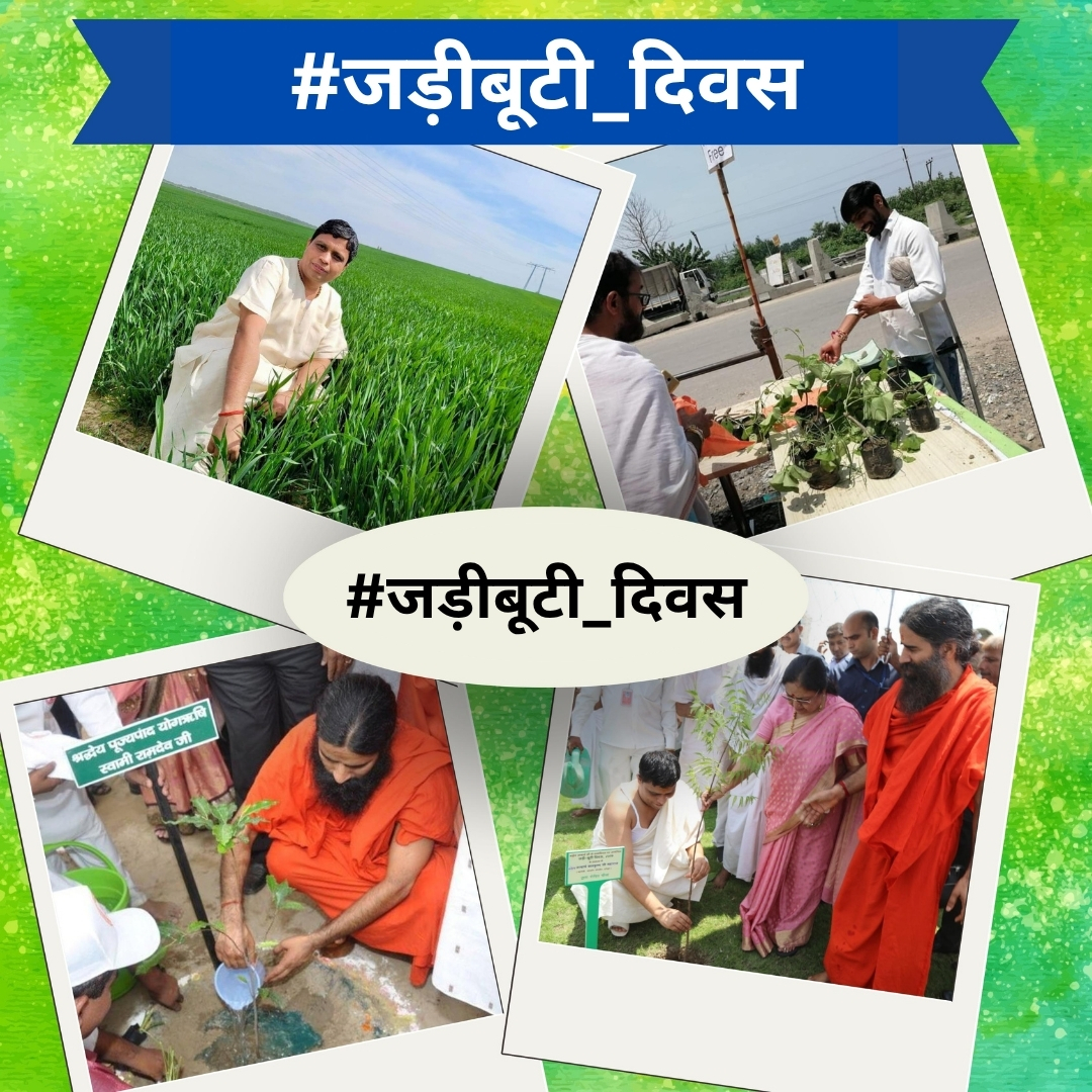 आयुर्वेद शिरोमणि आचार्य बालकृष्ण जी महाराज ने योग और आयुर्वेद को एकीकृत रूप में प्रस्तुत किया। तन, मन और आत्मा का संतुलन सिखाया। #जड़ीबूटीदिवस
Acharya BalkrishnaJi Maharaj
