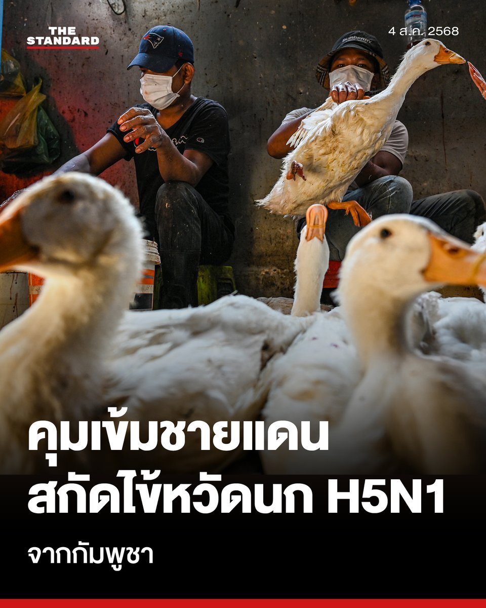 รัฐบาลคุมเข้ม เฝ้าระวัง ‘#ไข้หวัดนก #H5N1’ หลังพบระบาดรุนแรงในกัมพูชา แนะเกษตรกรสังเกตอาการสัตว์ใกล้ชิด
.
วันนี้ (4 สิงหาคม) อนุกูล พฤกษานุศักดิ์ รองโฆษกประจำสำนักนายกรัฐมนตรี เปิดเผยว่า รัฐบาลกำลังเฝ้าระวังสถานการณ์การแพร่ระบาดของโรคไข้หวัดนกสายพันธุ์ H5N1 และสายพันธุ์ย่อย Clade