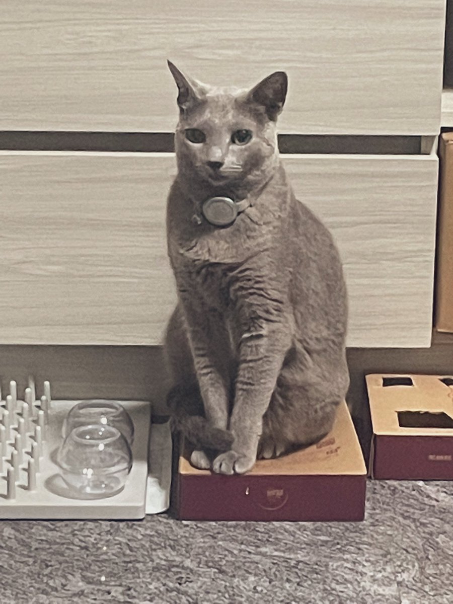 Danny (@danny173108) on Twitter photo 