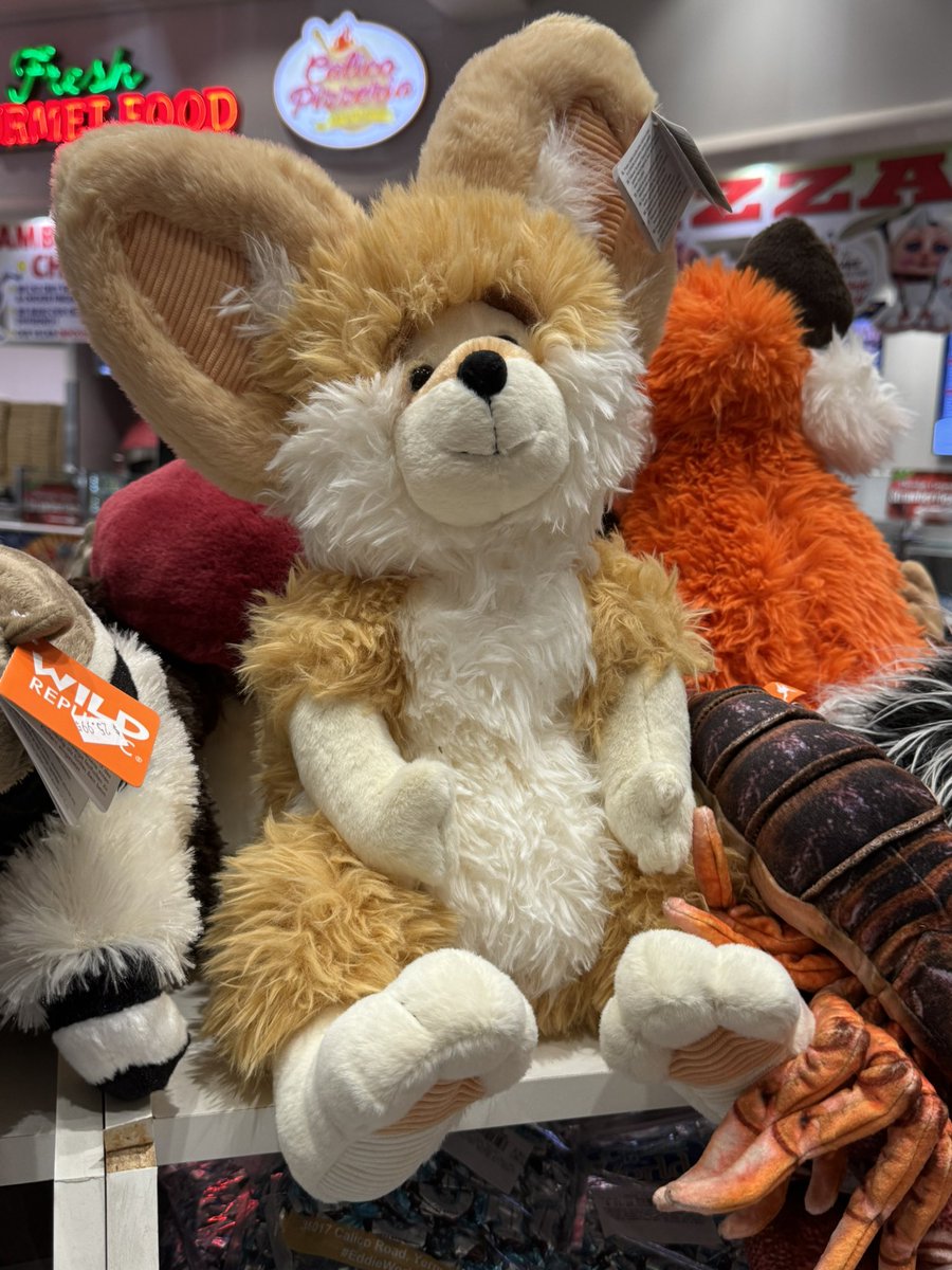 What happened to this poor creature!? 😰