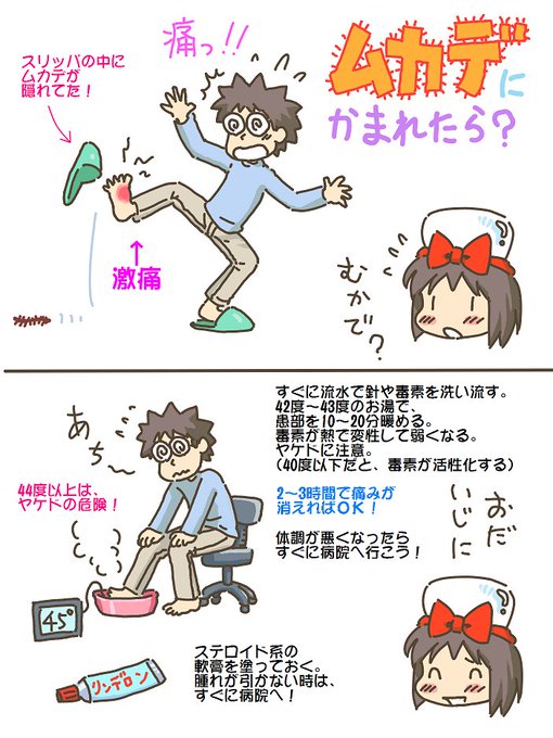 売れのこったブラウン管のおはなし。(1570)

ムカデにかまれたら?
(かまれた) 