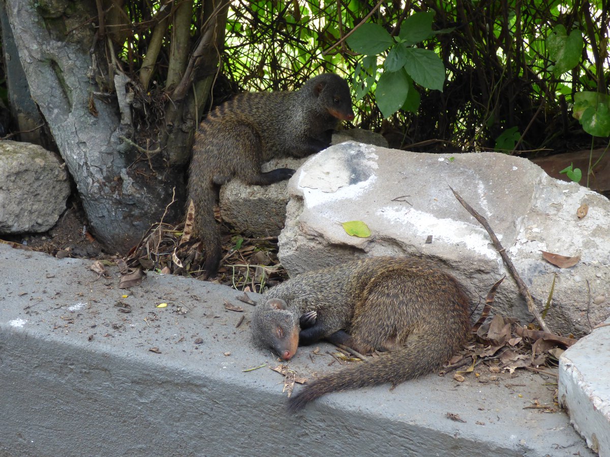 Kevin Arbuckle tweet media