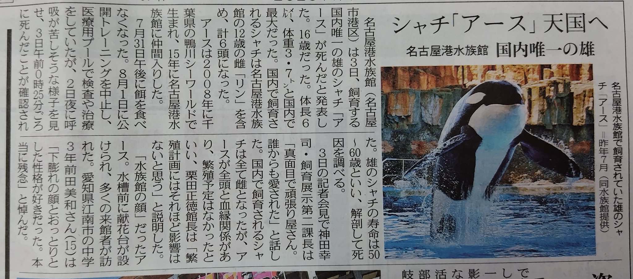 【中古】 中部の水族館/中日新聞社 fumifumi on X: 