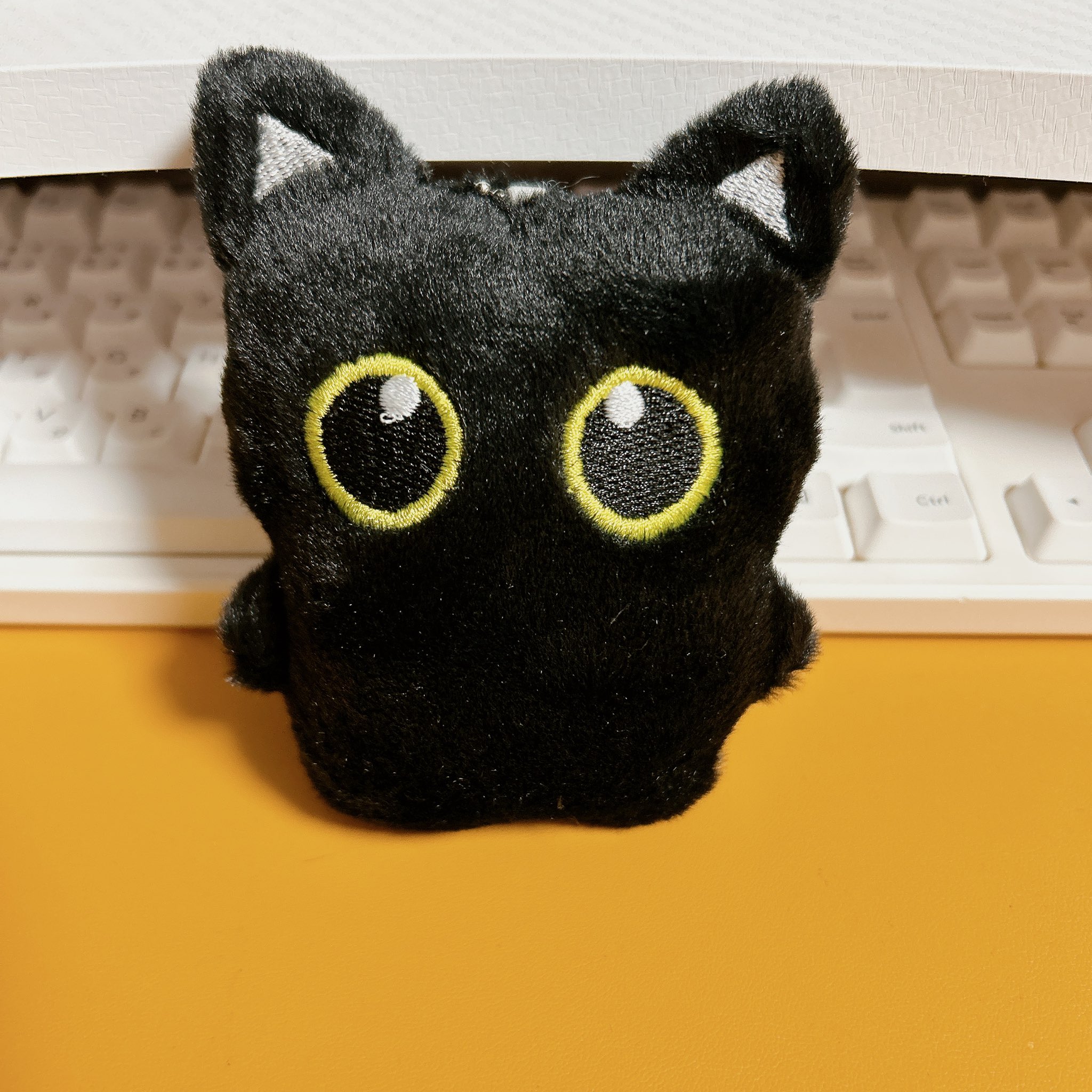 すう on X: 