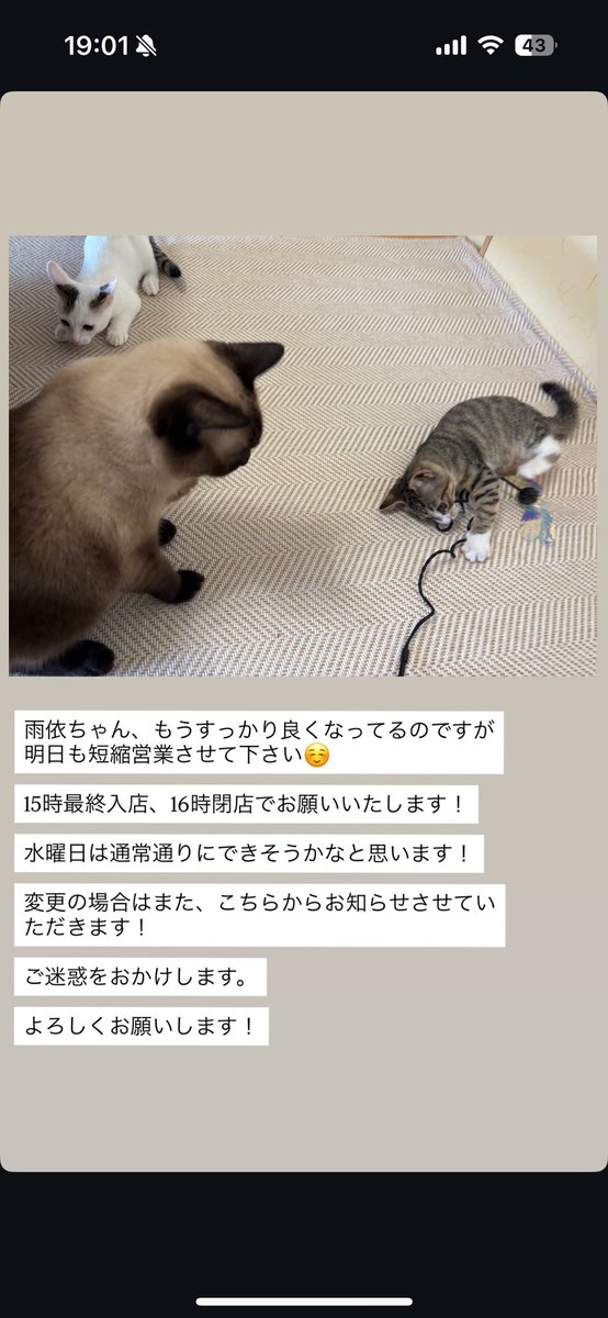 明日火曜日
13時Open15時最終入店
16時閉店です。

ご迷惑をおかけします。

何卒よろしくお願いいたします🥺