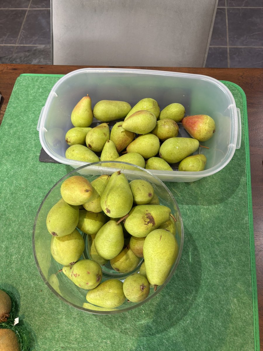 Bit windy in our garden
