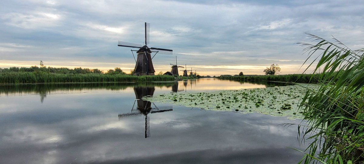 Goedemorgen nu nog rustig weer in #Kinderdijk bij de #molens zal vanmiddag wel anders zijn kom je aan #fietsen maar sommige zijn wel echt doof om de #hondjes bij zich te houden terwijl van andere kant ook #fietsers aan kwamen