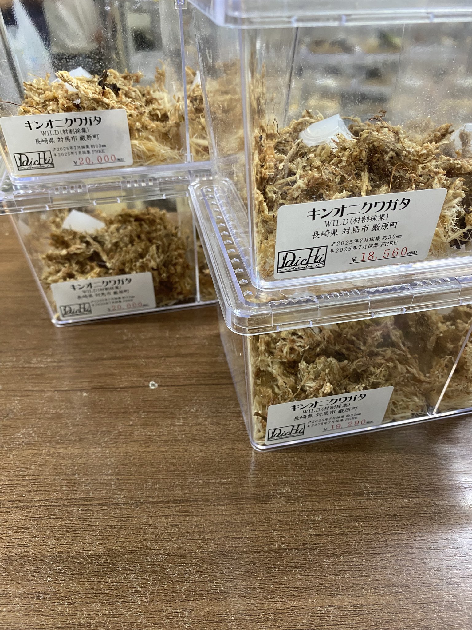 期間限定お値下げ！激レア！早い者勝ち！　これだけは知っておきたいこどもの病気 DaicHi (@daichi_0816_KB) / X