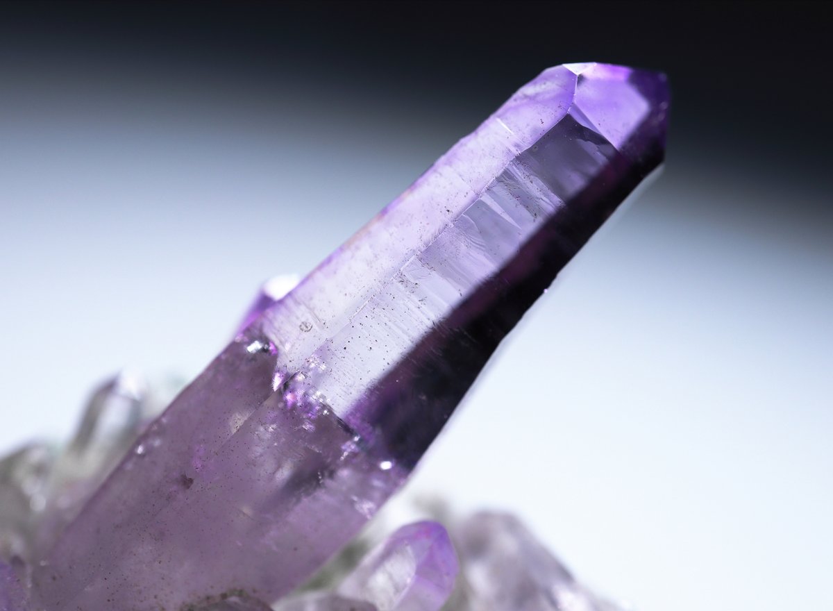 ✦ː────────── 8/4 Day4 ───────────ː✦ 今日も