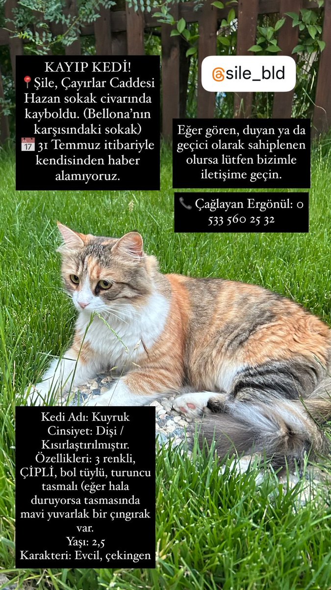 CaglayanKent2's tweet photo. @silebld https://t.co/hzVZ76VlzE