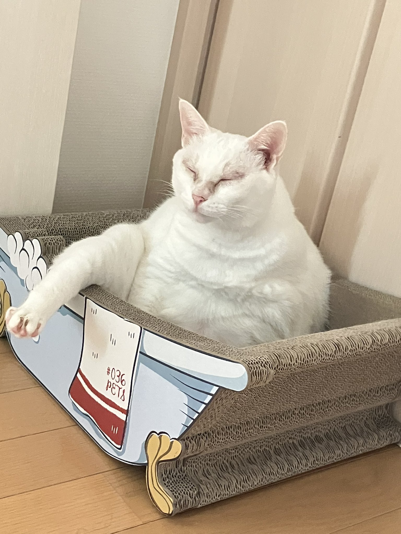 ねこ♡ ニトリ (NITORI) 猫の爪とぎ ロンドンバス