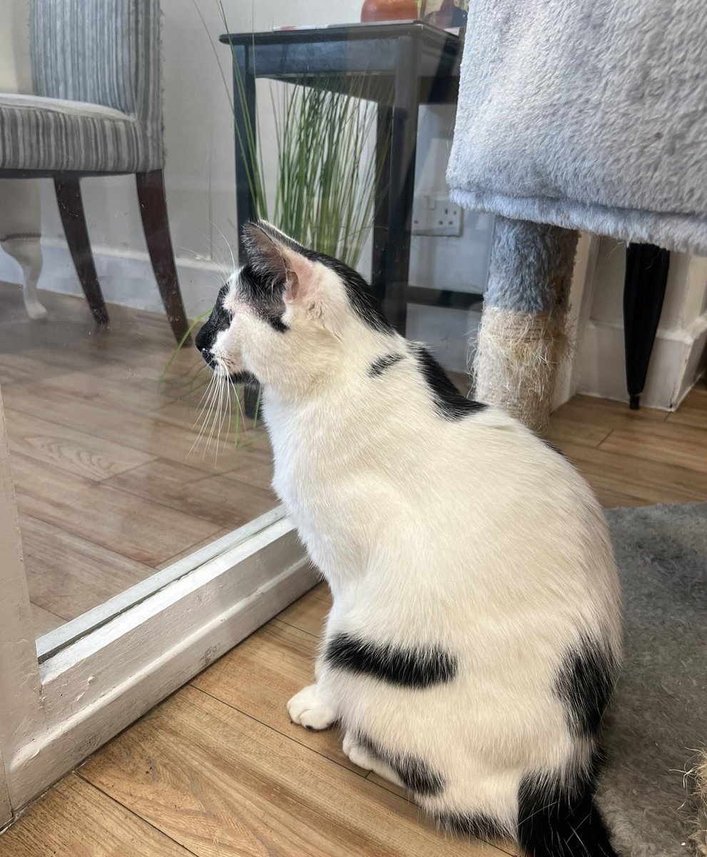 When will my lover return from war