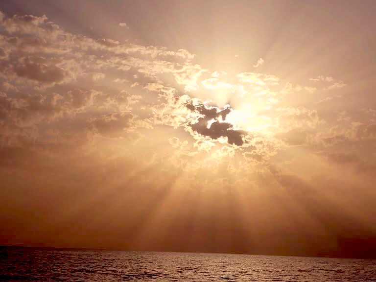 Papa ❤️😕  #Papa4Aout #MaladieDeCharcot #SLA  
Papa... 💔 I miss you more than words can say … Puisses-tu voguer au gré des marées et des courants partout 🙏🌹🕊️