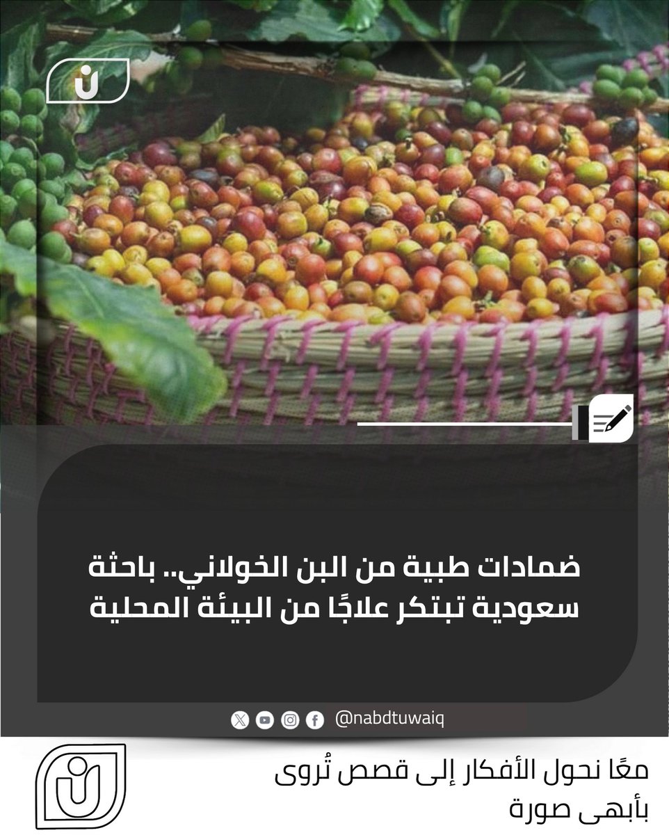 كشفت الباحثة بجامعة الملك سعود، بثينة الصغير، عن ابتكارها ضمادات طبية باستخدام البن الخولاني، بعد أن لاحظت تأثيره القوي على بكتيريا مقاومة للمضادات الحيوية وأوضحت أن الفكرة انطلقت من دراسة علمية حول تركيب البن وتحولت لتطبيق علاجي مبتكر

#وطن_طموح #نبض_طويق