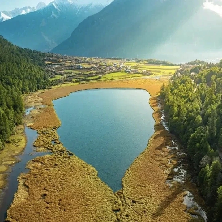 Himalaya Insight tweet media