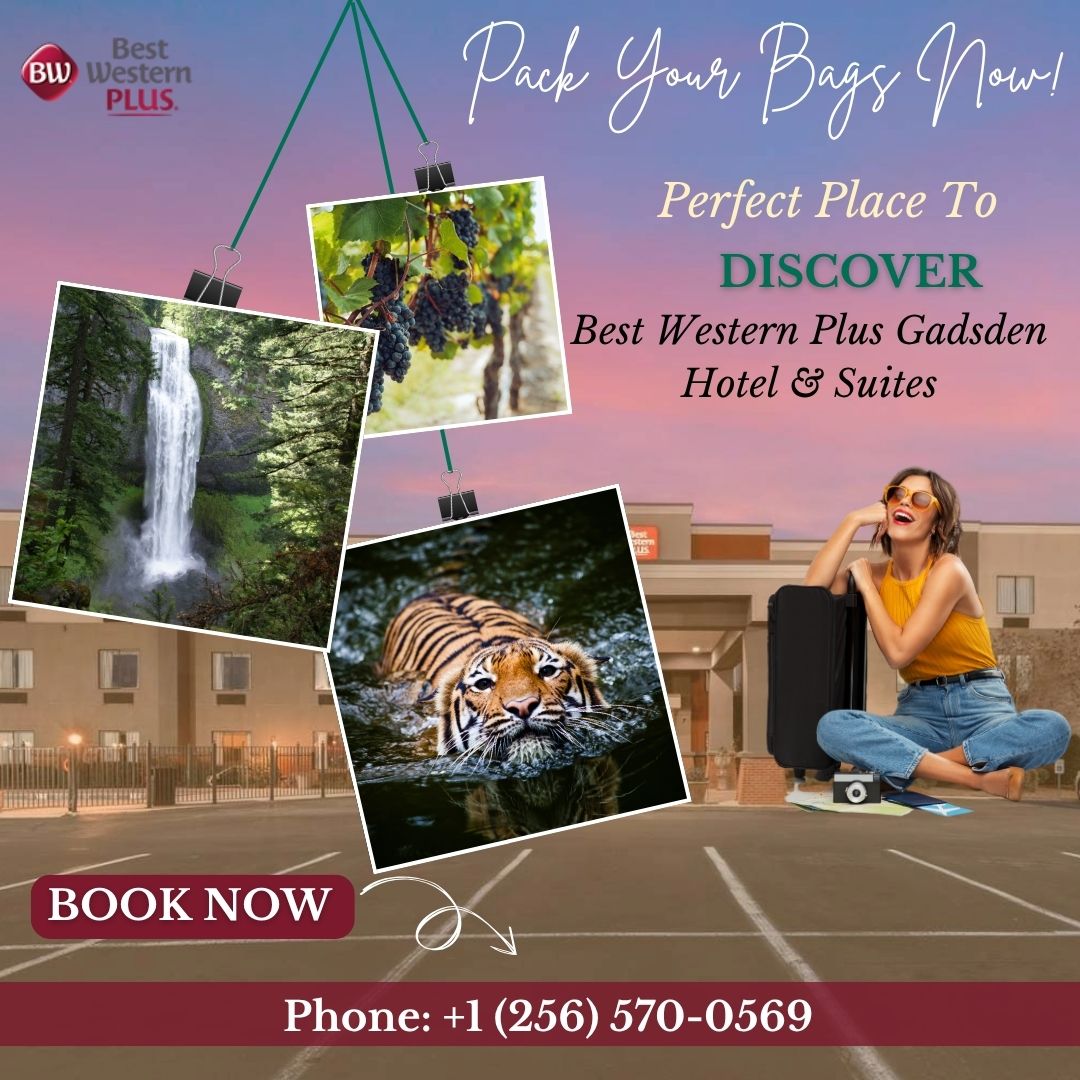 Love a good drive? Take the scenic Lookout Mountain Parkway.
Stunning vistas, local farms, and hidden gems await.
Best Western Plus Gadsden is your starting point.
Visit bwplusgadsdenal.com/attractions-ne… for more info
#LookoutMountainDrive #ScenicAlabama #ExploreGadsden #Alabama #Gadsden