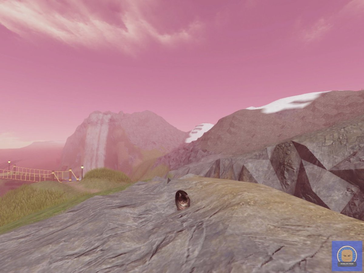 Roblox Fess tweet media