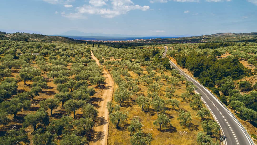 Turning local know-how into European solutions for smarter bio-based farming
#GreenerFuture #Sustainability
thedeeping.eu/2025/08/04/tur…