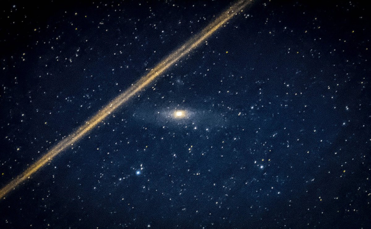 alaska_cw tweet media