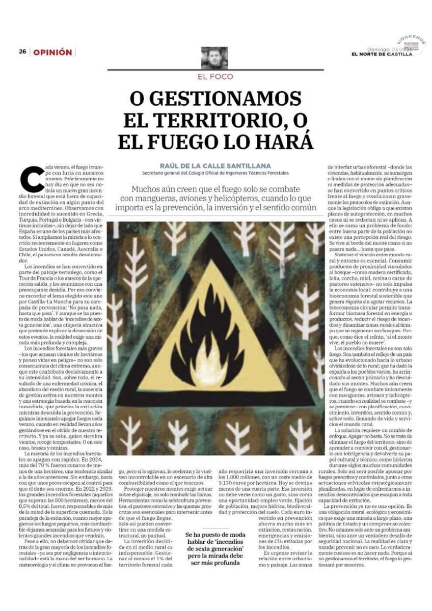 El secretario general de nuestro Colegio <a href="/IngForestal50/">Ingeniería Forestal</a>, Raúl de la Calle ha escrito un artículo sobre los incendios forestales y la gestión del territorio, publicado en la versión digital e impresa de los periódicos del grupo <a href="/Vocento/">Vocento</a>