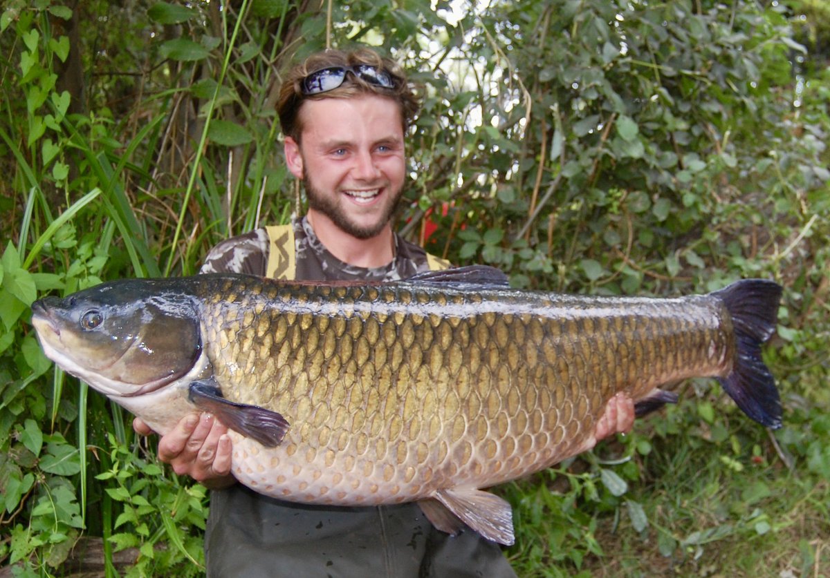 stgeorgeslake's tweet photo. 57lb 4oz Grass Carp- which is over a pound heavier than the British record.. Lucky captor is Kane Hammond who caught it while floater fishing on the surface. 8 years since it was last caught! #grasscarp #britishrecord #carpfishing #fishing #bigcarp https://t.co/GlGvi9oro6