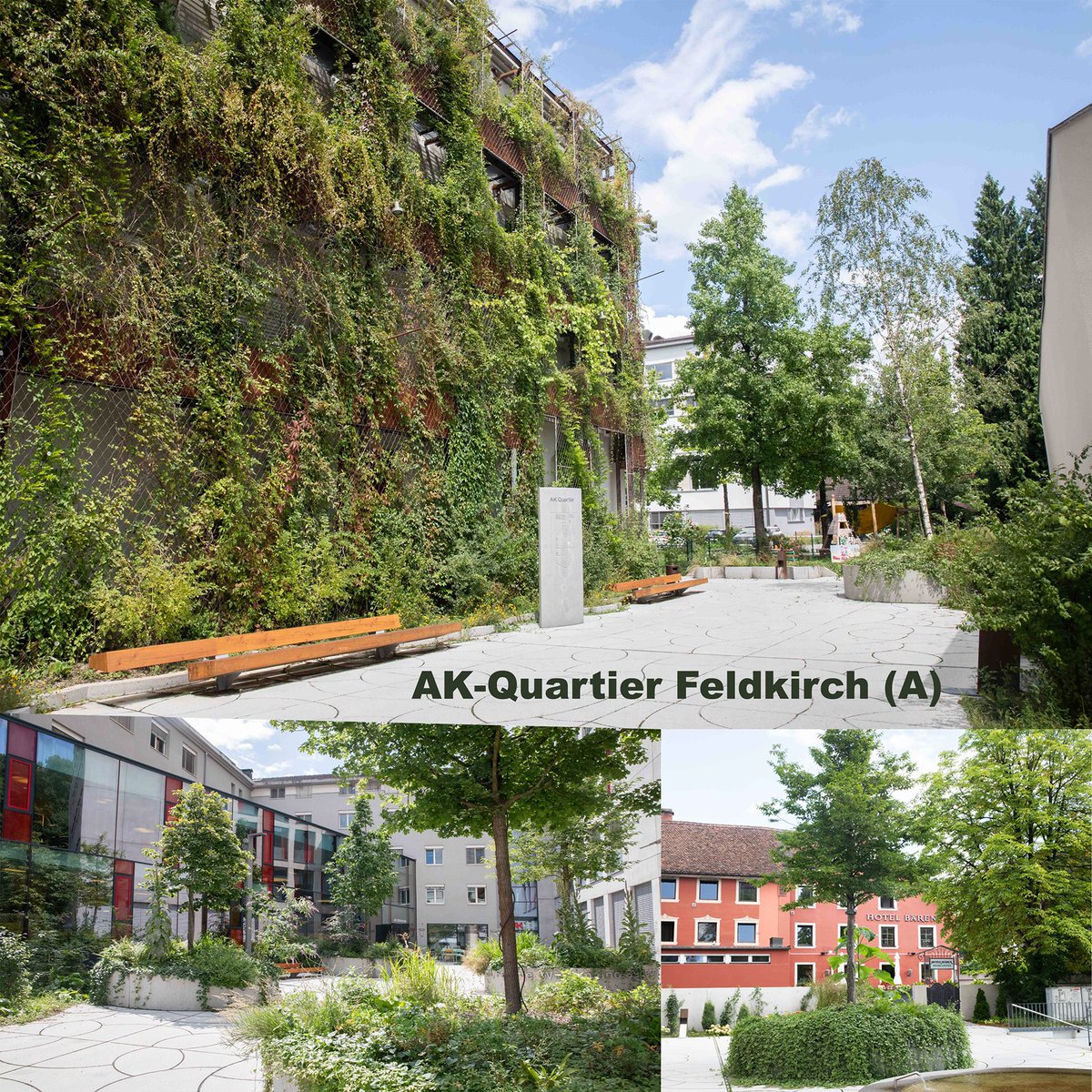 Conrad Amber tweet media