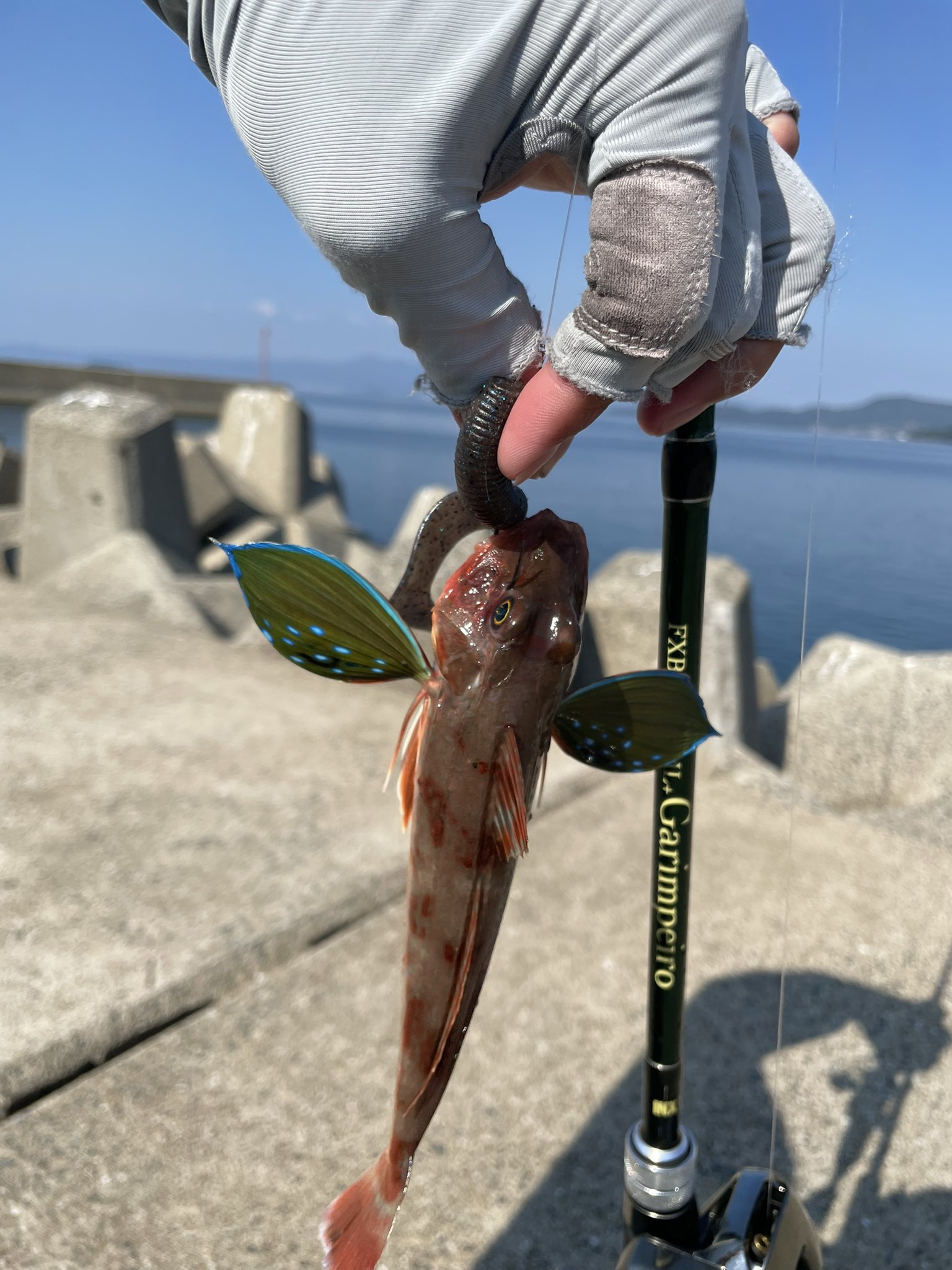 週末釣行中 サクラ】 限定 金剛 夕なぎ 2.7m SAKURA KONGOU LIMITED LTD