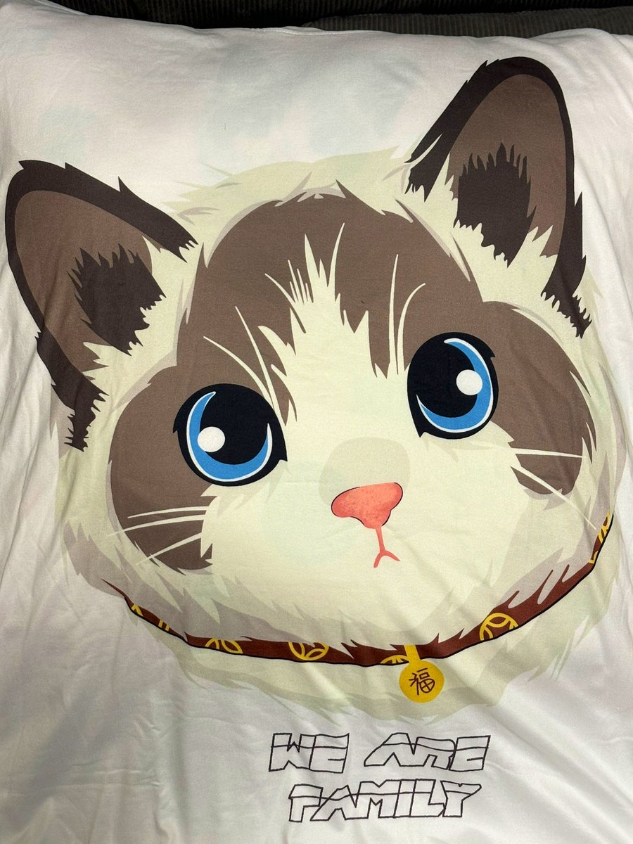 ノワ様似のTシャツ見つけて買ってしまった…（親バカ）