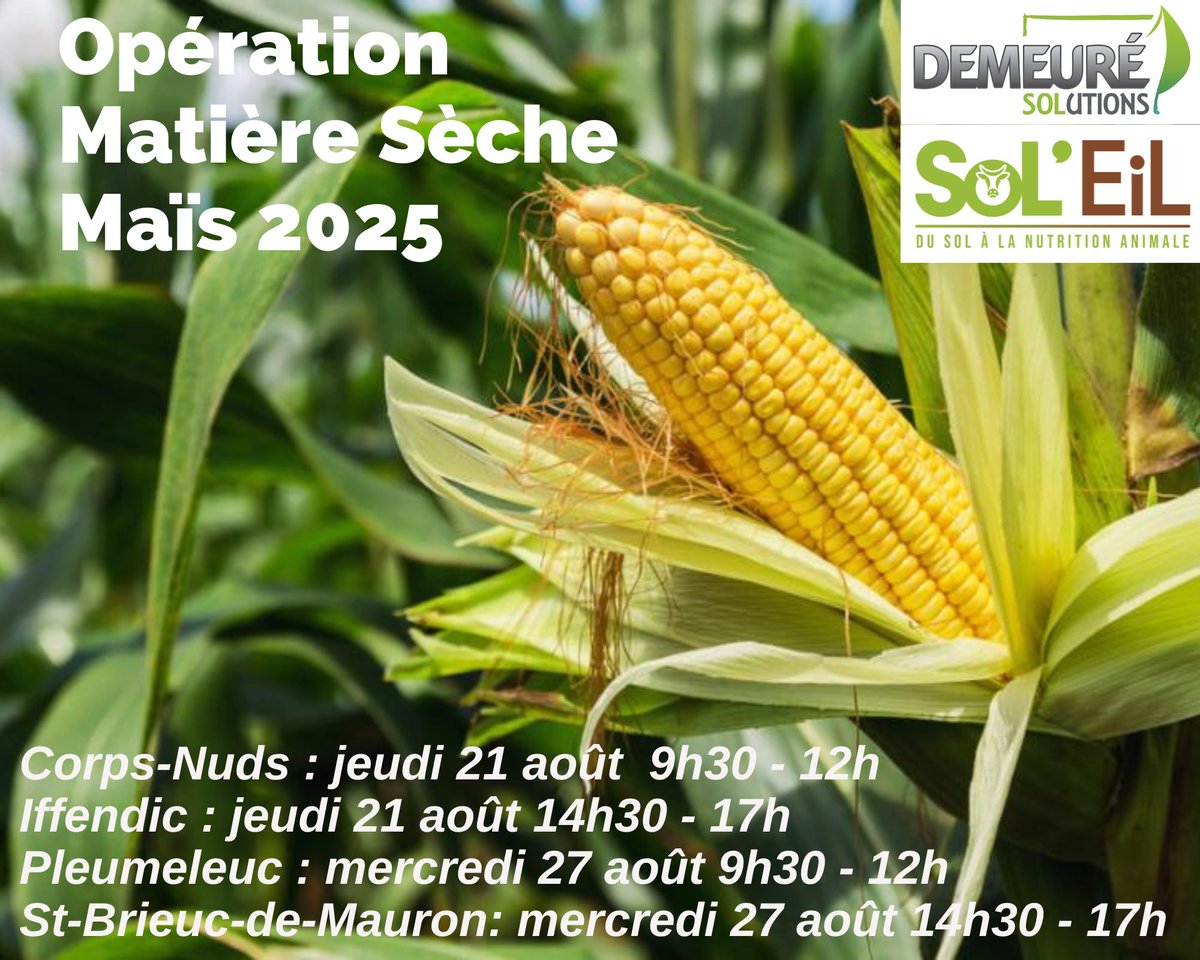 DEMEURE Solutions tweet media