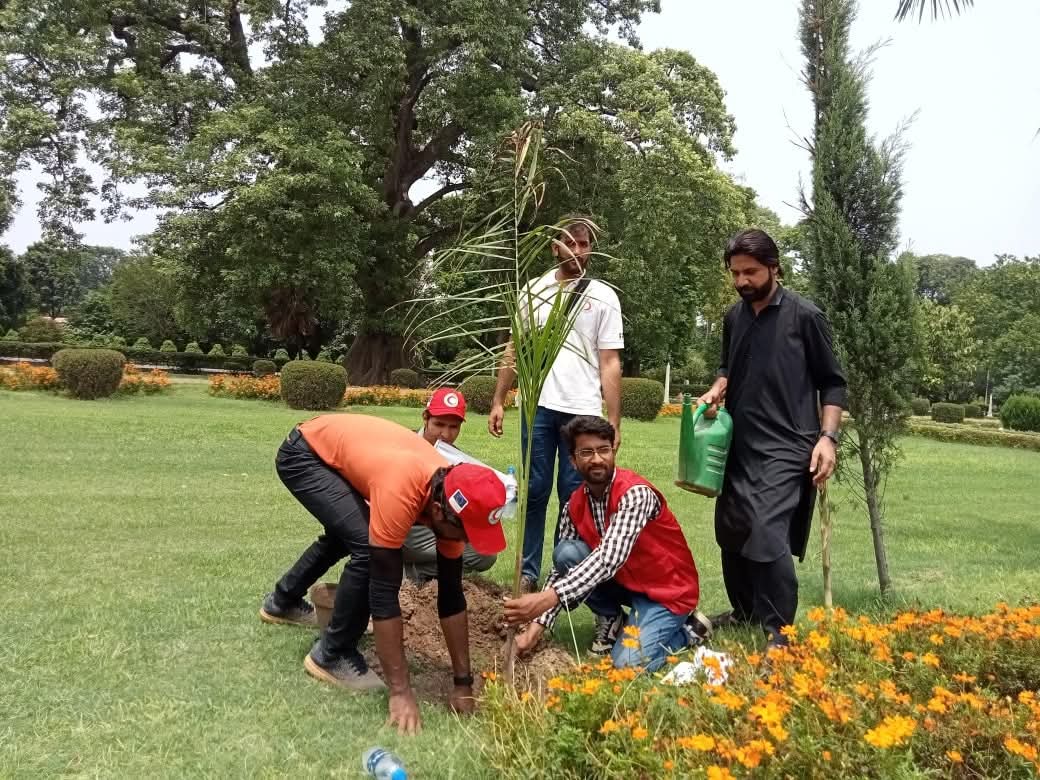 Planting Today for a Greener Tomorrow_ PRCS Punjab took a step toward a healthier planet by planting Bottle Palm trees in Lawrence Garden.

These beautiful palms not only enhance the landscape but also support local birds and wildlife. A small act with a big impact.