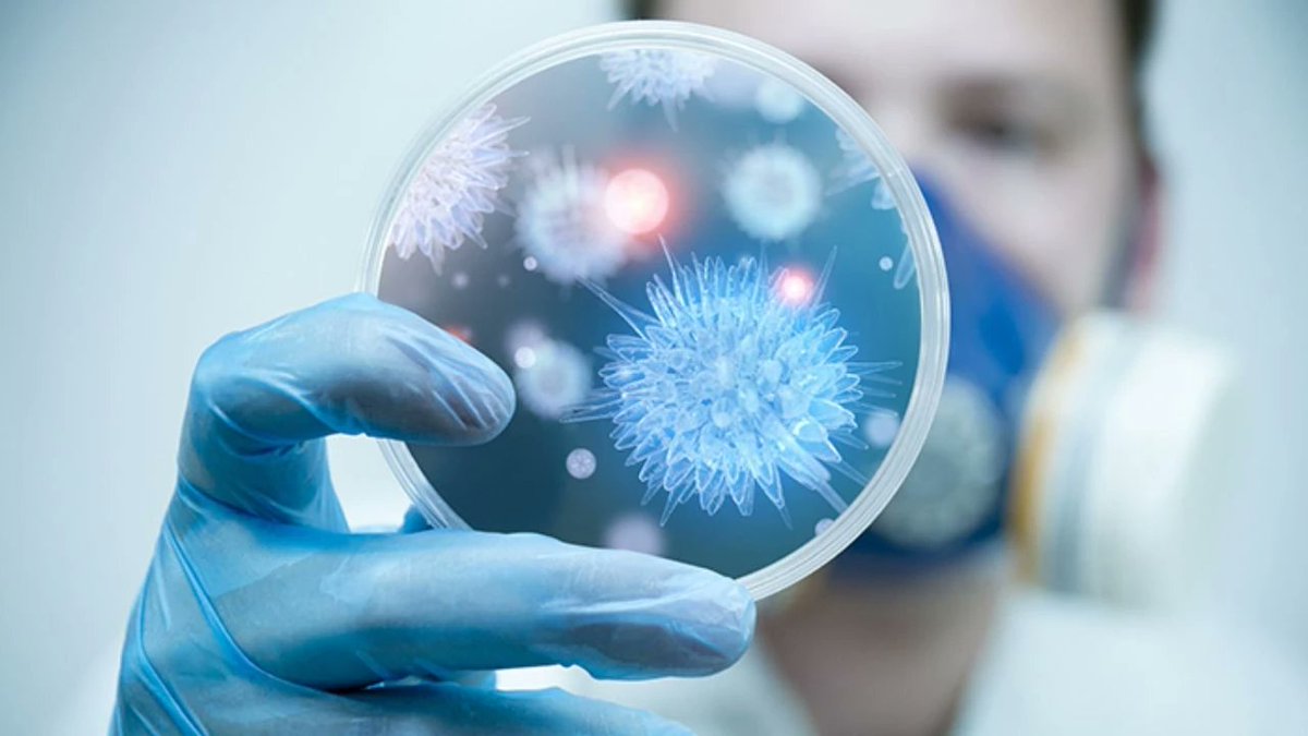 izgazete2's tweet image. Temas yoluyla bulaşıyor: Hızla yayılmaya başladı!
#saglik #temas #virus #dunya 

izgazete.net/temas-yoluyla-…