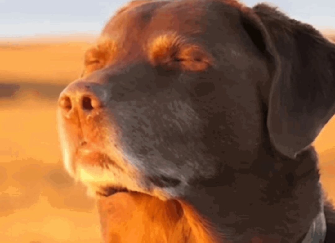 Seequall tweet media