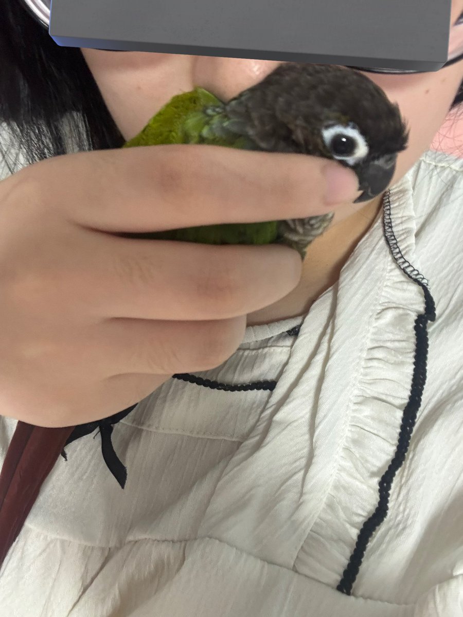 하루 6시간 앵카인 흡입은 꼭 필요한 절차입니다