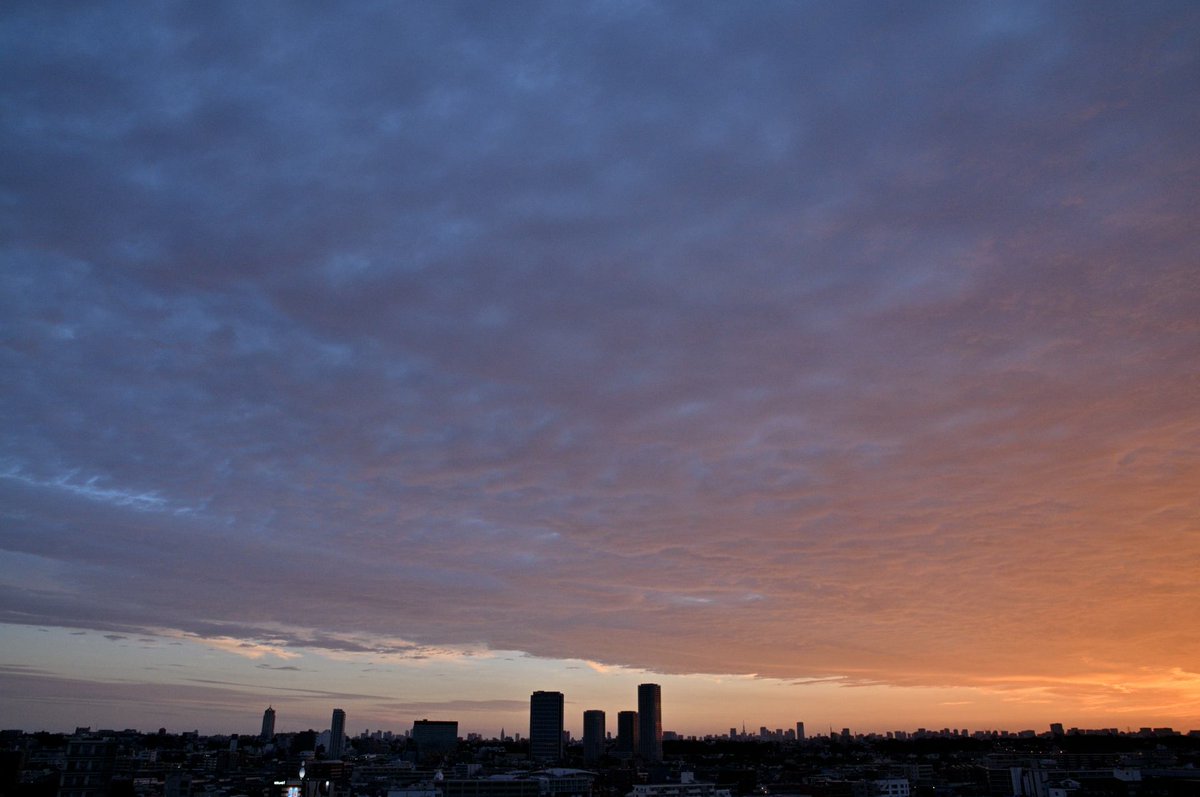 tomihara_nozomi's tweet photo. ใ็ฉบๆจกๆงใ#sky #skypattern #livehere #fixedposition #nikoncreators #nikond300 #photograph #photography #็ฉบ #็ฉบๆจกๆง #ใใใง็ใใ #ๅฎไฝ็ฝฎ #ใใคใใฎๅ ดๆ #ๅ็ #ใใคใใฎๅ็ #ๅ็ๅฅฝใ #ๅ็ใงไผใใใ็งใฎไธ็ #ๅ็ๅฅฝใใชไบบใจ็นใใใใ #ๆญฉๆฅฝ้ๅ็้จ https://t.co/HlPi8KFEa4