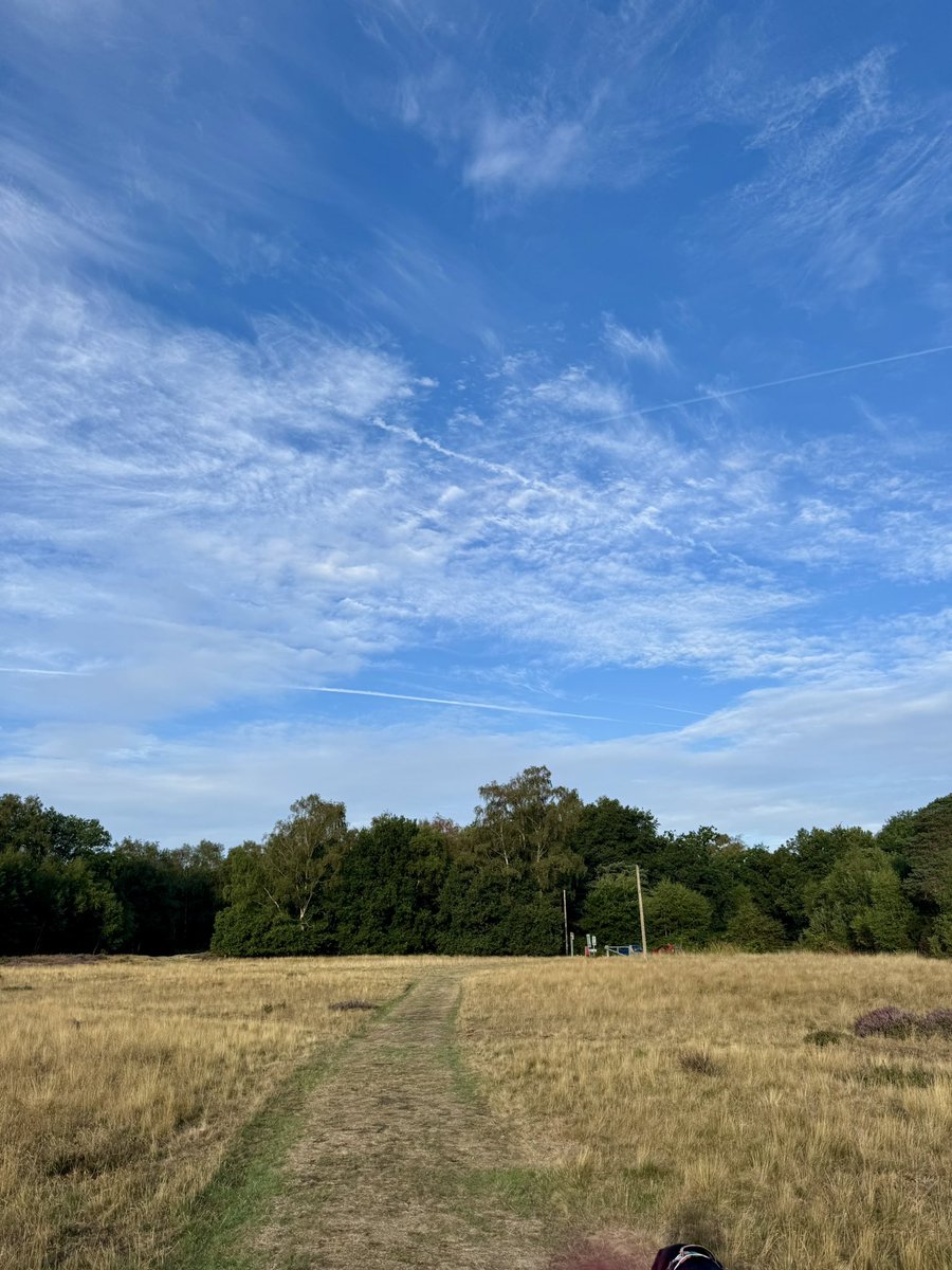 6:30am sunny skies not a soul about the best early sniffs 💜💙