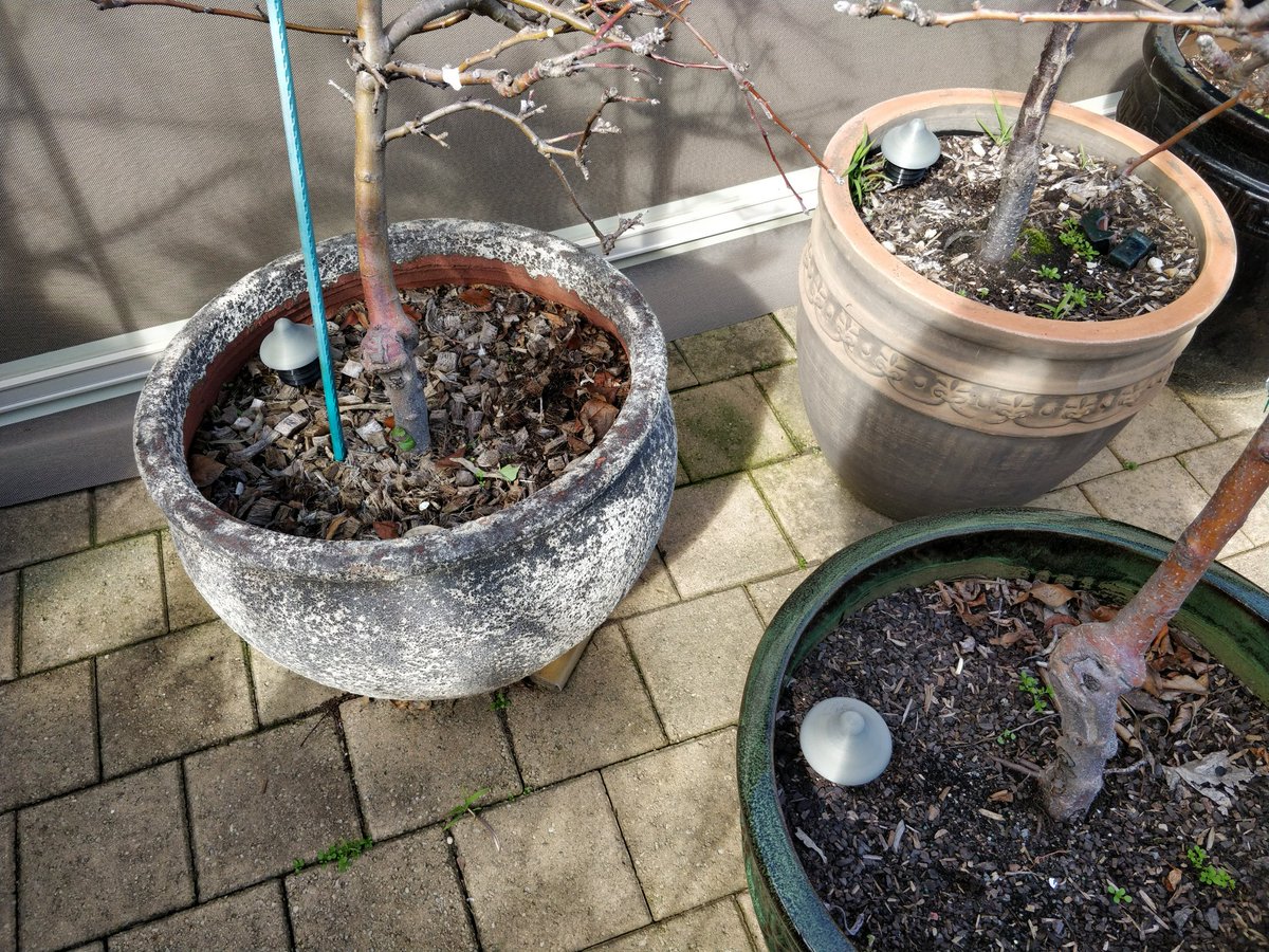 MakerfabsTech's tweet image. 🌱 "Saving 20-year-old fruit trees with #LoRA  sensors!"
Project sharing:  An Aussie user integrated our LoRa Soil Moisture Sensors with #HomeAssistant via #MQTT to monitor & prevent overwatering—no matter where they are.
🔗makerfabs.com/lora-soil-mois…
#IoT #LoRaWAN #SmartGardening…