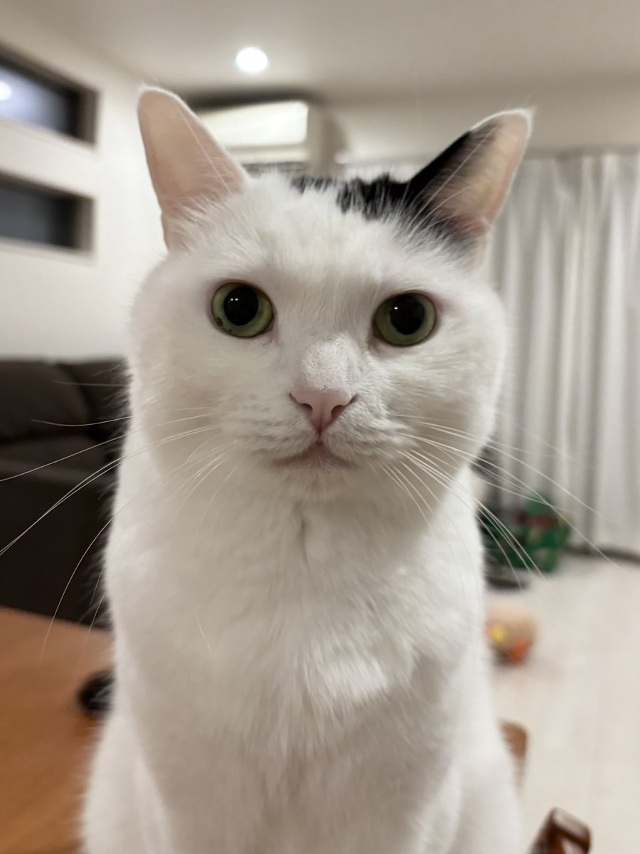 この顔されるとなんでも話しちゃうよね