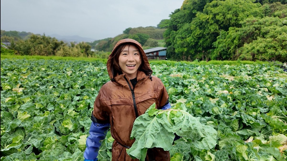 ntv_DayDay's tweet photo. 8/5(火)の #DayDay.
まもなく朝9時スタート⏰

✅曜日メンバー🌱
　#PG #CHAAMi (小5・11歳)🕺

✅ナゼ？ナゼ？
　夏休みの宿題🌻いまどきの“自由研究”🤔

✅三浦半島 移住企画🐟
　元フィギュアスケート日本代表 
　#高橋成美 キャベツ収穫&絶品レシピ👩🏻‍🌾

✅ゲスト🌟
　#丹生明里🌼
　📺『ザ！世界 #仰天ニュース』
　@gyoten_ntv @nibuchan_staff 

✅Dotti Dotti👀※一部地域を除く
　小中学生14人 ボーカル&ダンスカンパニー🎤
　PG メンバー全員でTV初生出演🌈🌵
