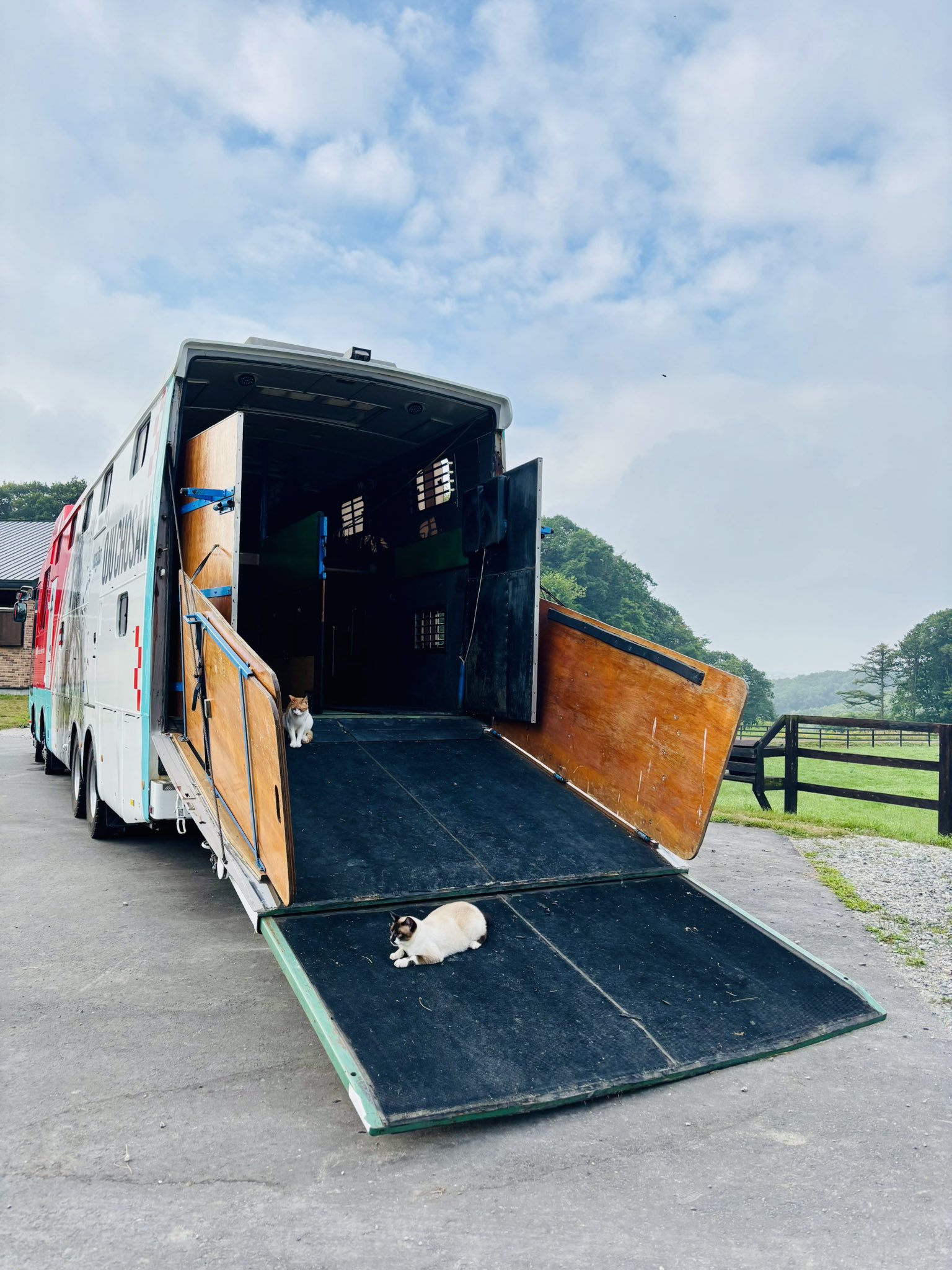 ほっけページ ほっけ - Search / X