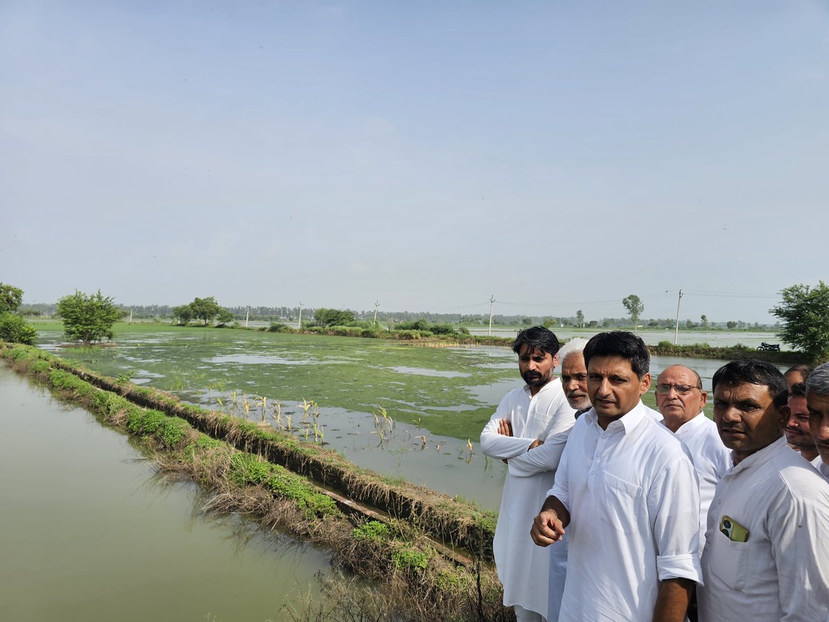 Pradeep Narwal (@narwal_inc) on Twitter photo हरियाणा के लोकप्रिय नेता, बड़े-भाई सांसद <a href="/DeependerSHooda/">Deepender Singh Hooda</a> जी के साथ बवानीखेड़ा विधानसभा के गाँव तालू, धनाना, पुर गाँव की जलभराव की समस्या का जायज़ा लिया एवं ग्रामवासियों की समस्या सुनी।
साथ में हिसार लोकसभा के सांसद चौधरी जयप्रकाश जी, लोहारू विधायक राजबीर जी, पूर्व विधायक शिव हरियाणा के लोकप्रिय नेता, बड़े-भाई सांसद <a href="/DeependerSHooda/">Deepender Singh Hooda</a> जी के साथ बवानीखेड़ा विधानसभा के गाँव तालू, धनाना, पुर गाँव की जलभराव की समस्या का जायज़ा लिया एवं ग्रामवासियों की समस्या सुनी।
साथ में हिसार लोकसभा के सांसद चौधरी जयप्रकाश जी, लोहारू विधायक राजबीर जी, पूर्व विधायक शिव