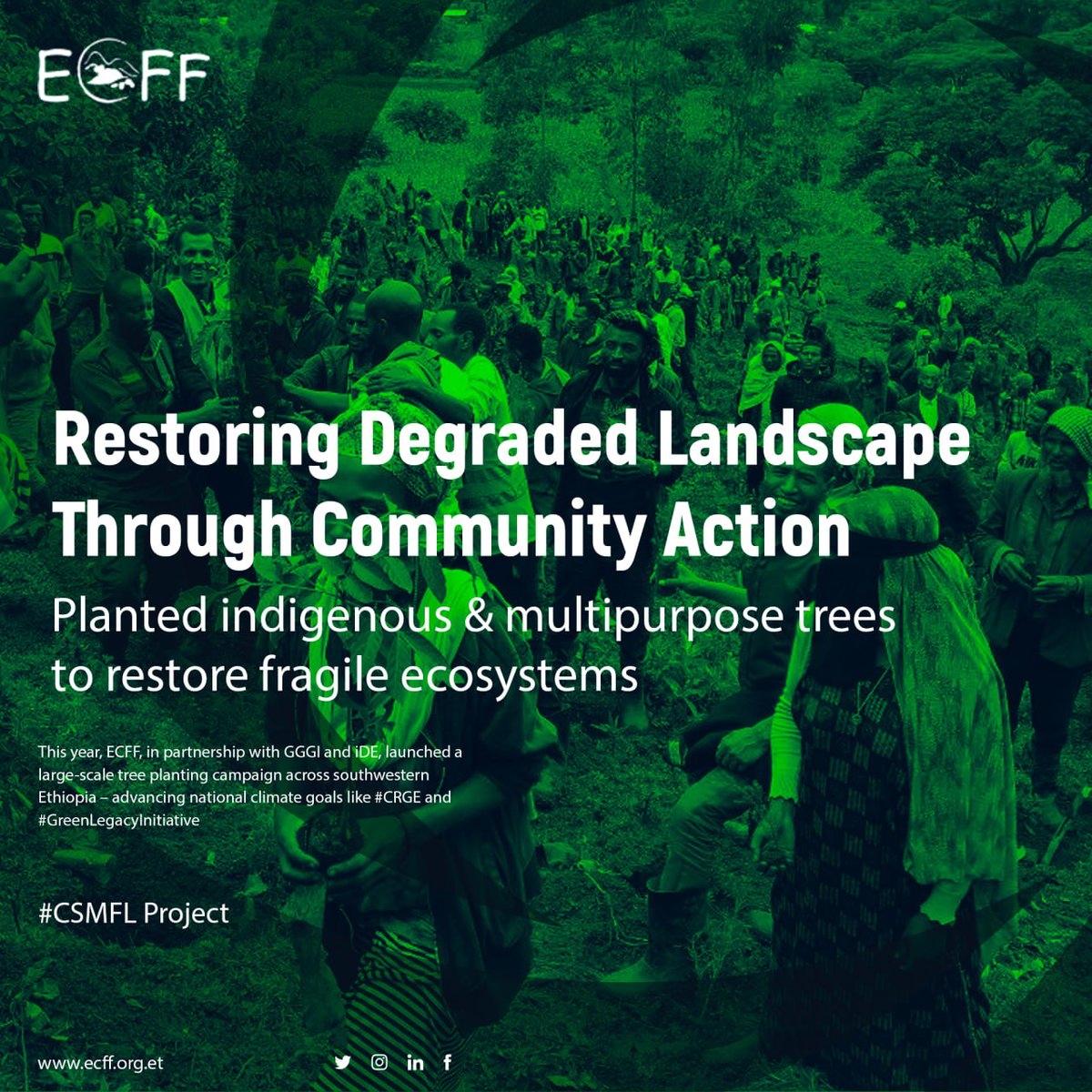 ECFF - Environment and Coffee Forest Forum tweet media