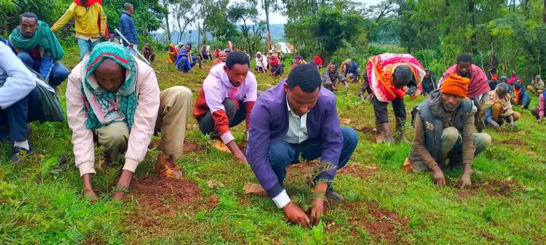 ECFF - Environment and Coffee Forest Forum tweet media