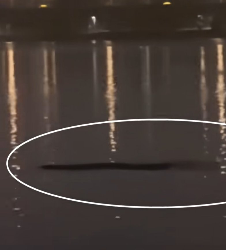 yuexiang781's tweet image. Giant unknown object spotted in South Korea&apos;s Han River: 6-10m long, thicker than a human, captured by night anglers. Similar footage emerged 3 years ago, later confirmed as a buoy. 😱 #HanRiverMystery #UnknownObject